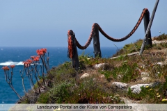 Cabo Pontal